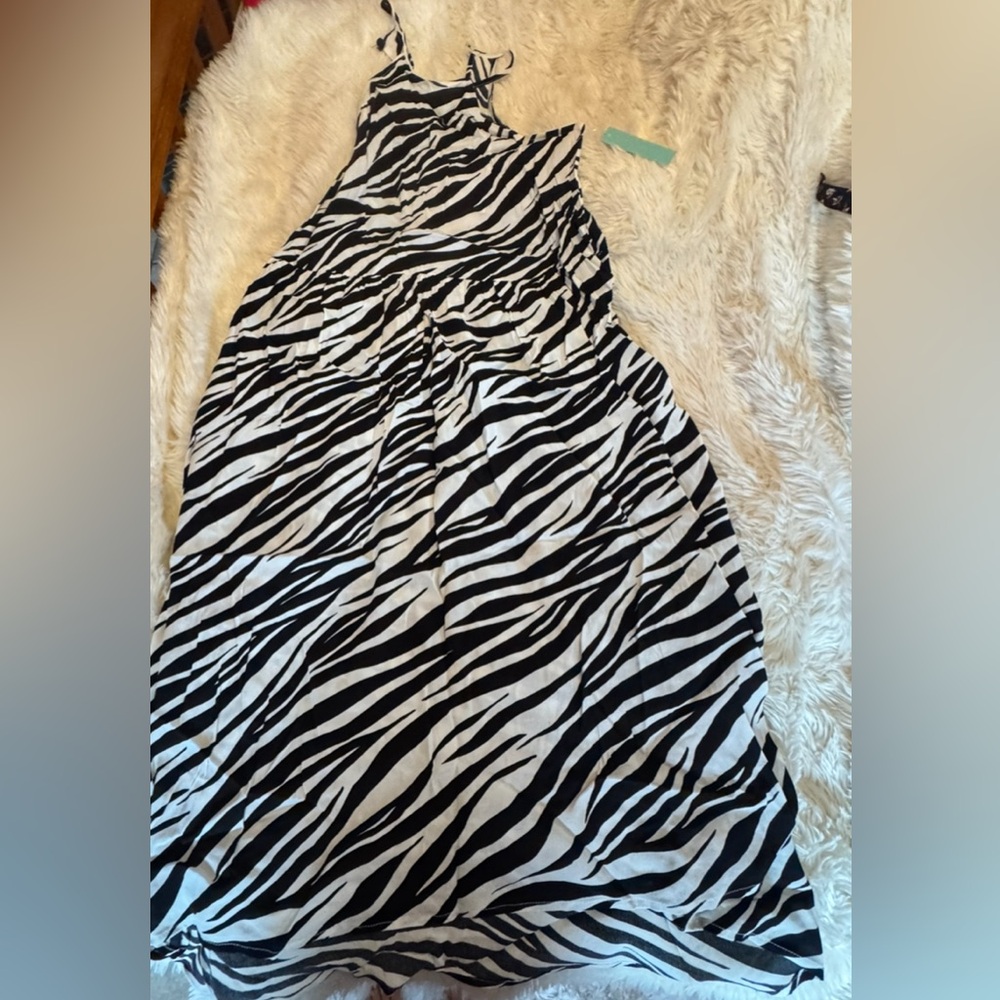 Abound Black and White Zebra Print Maxi Dress